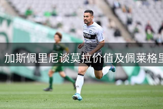 加斯佩里尼谈莫拉价值及佩莱格里尼伤情